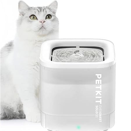 61zhS7v1dGL. AC SY450