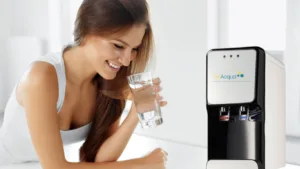 Naranja Negocios Servicios Sitio Web 1